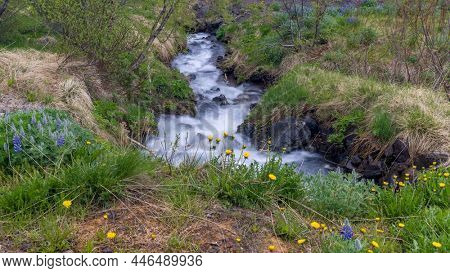 Long exposure shot of water stream surrounded with wild flowers in Iceland