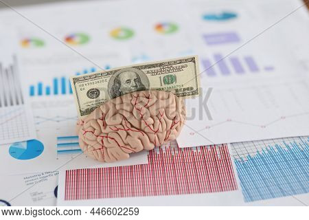 Close-up Of Banknote Fit In Anatomical Model Of Human Brain, Miniature Put On Business Papers. Make 
