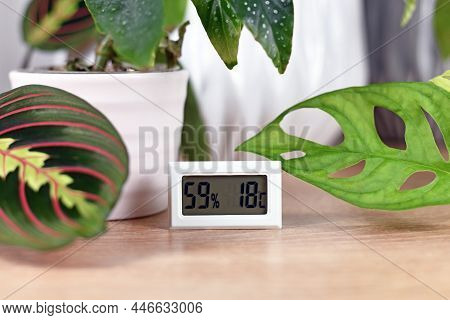Hygrometer And Thermometer Device To Measure Humidity And Temperature For Houseplants