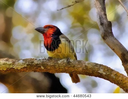 블랙의 회화 Barbet 체포
