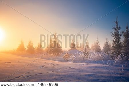 A Beautiful Golden Sunlight In A Snowy Winter Morning In Northern Europe Rural Areas. Winter Landsap