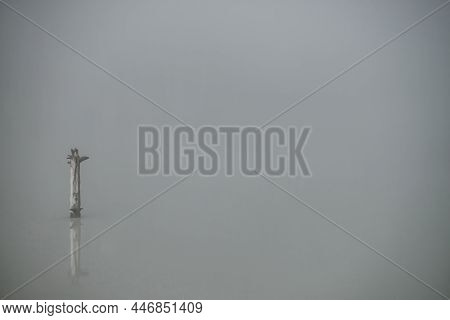 Atmospheric Misty Nature Background With Tree Trunk In Lake Water Surface. One Snag In Gray Water Of