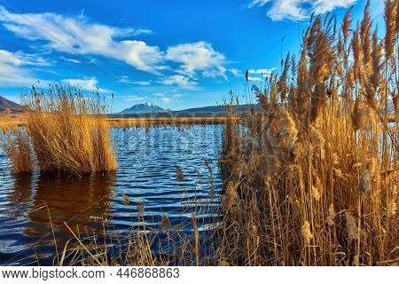 Nameless Lake On The Background Of Blue Sky And Mountains Of Caucasian Mineral Waters. The Bull And 