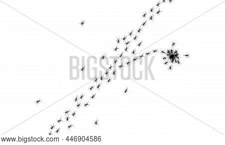 Worker Ants Trail Line Flat Style Design Vector Illustration Isolated On White Background. Top View 