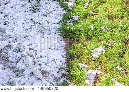The Field Is Divided In Half, Half With Green Grass, Half Covered With Snow. Winter And Spring.