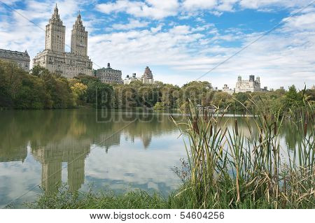 Central Park view, New York City