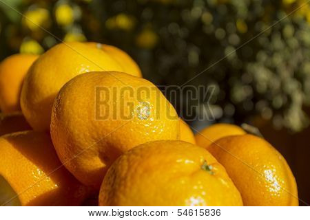 Tangerines