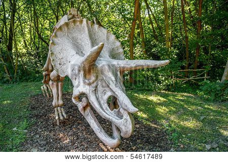 Triceratops Fossil Skeleton Over Natural Background