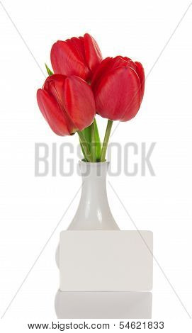 Fine tulips in a vase