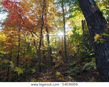 Hiking Trail and Fall Colors in North Carolina