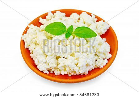 Curd In A Clay Plate With Basil