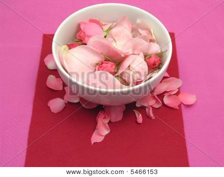 Rose Rosa In una ciotola bianca della porcellana su sfondo rosso