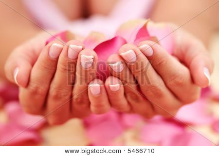 Händer med rosenblad