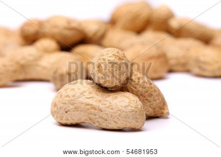 Two peanuts in closeup on the peanut background