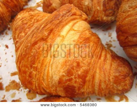 Potrhlý Croissant