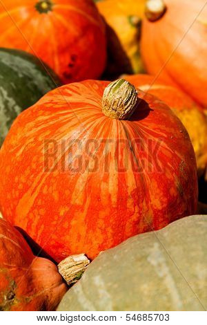 Pumpkin