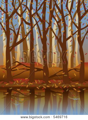 Four Seasons Forest In The Fall