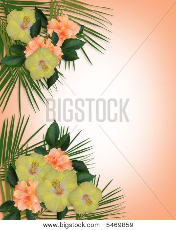 Confine di fiori di ibisco tropicale