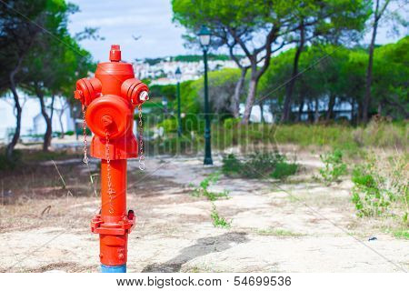 Red Fire Hydrant On Nature In Europe