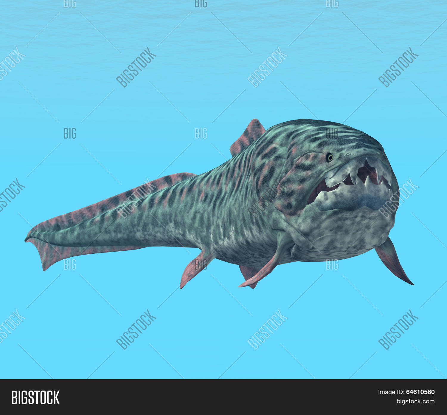 Image Preview