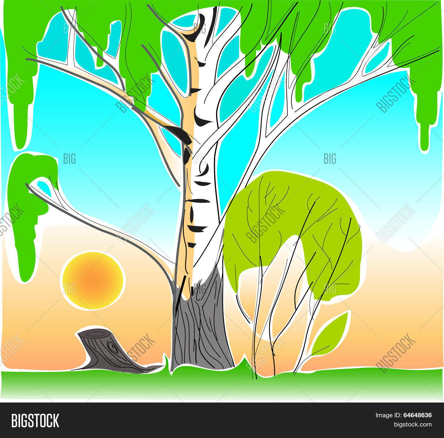 Image Preview