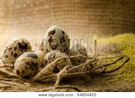 Quail Eggs
