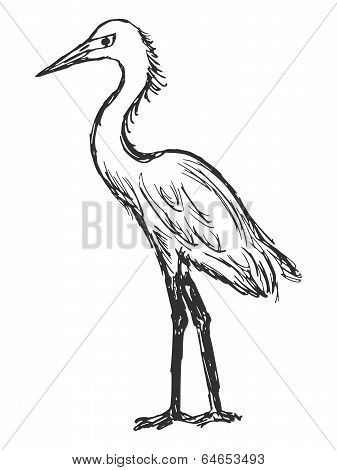 Heron