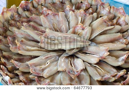 Striped snakehead fish in local market, Thailand