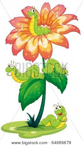Illustration of a big flower with worms on a white background