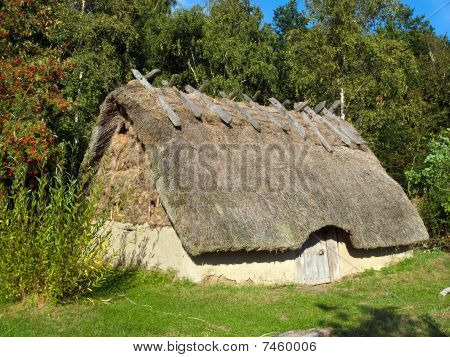 Casa dell'età vichinga In un villaggio