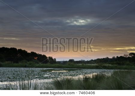 Sunset On African Pond