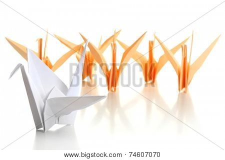 Individuality concept. Origami birds on light background