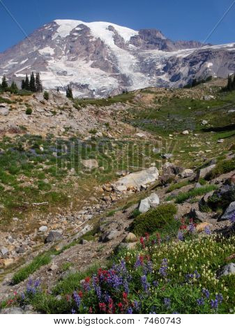 Mount Rainier, washington