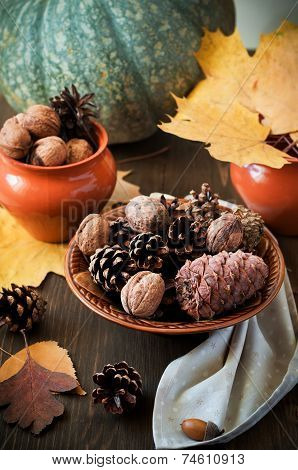 Colorful Autumn Leaves With Pine Cones, ?ircassian Walnut And Pumpkins