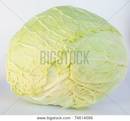 Cabbage