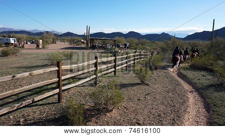 Arizona Horse Riding Adventures
