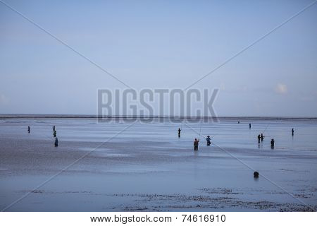 Evening fishing
