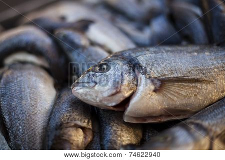 fresh fried fish