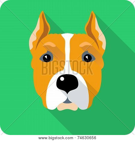 Dog Amstaff Icon Flat Design