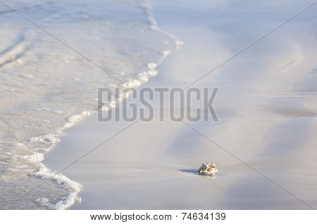White Beach Detail, Kenya