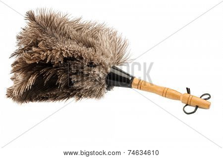 a feather duster against white background, symbol photo for cleanliness and care