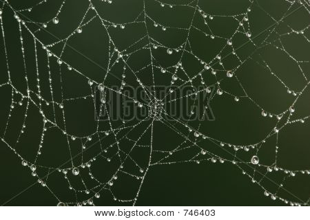 Perles du matin