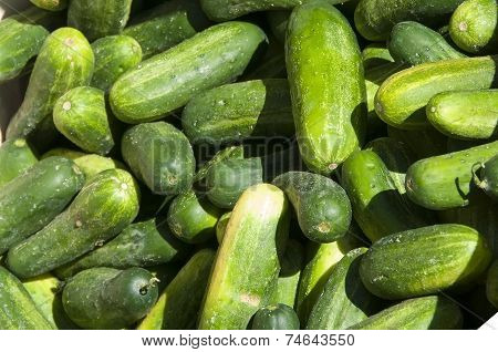 Fruits And Vegatables