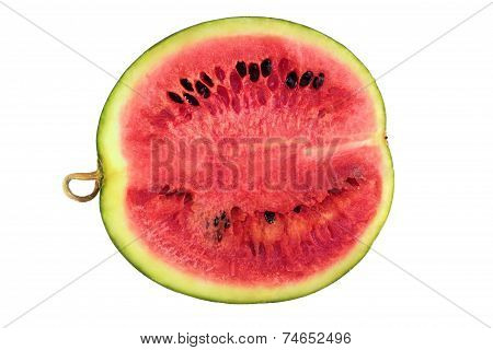 Fresh watermelon
