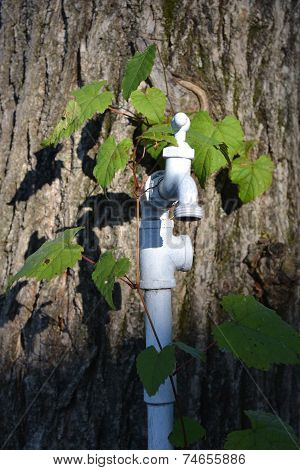 garden faucet