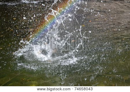 rainbow
