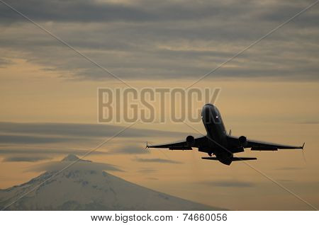 Plane Hood