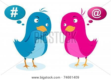 Birds love communicatio