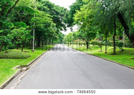 Garden Walkway