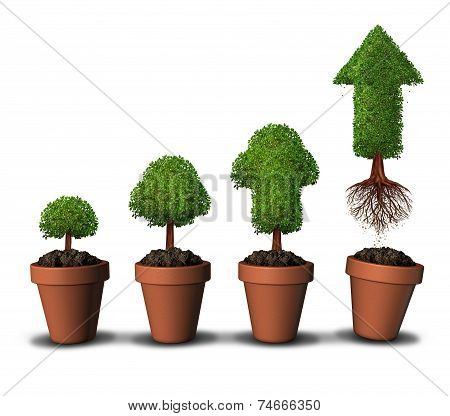Investing Money